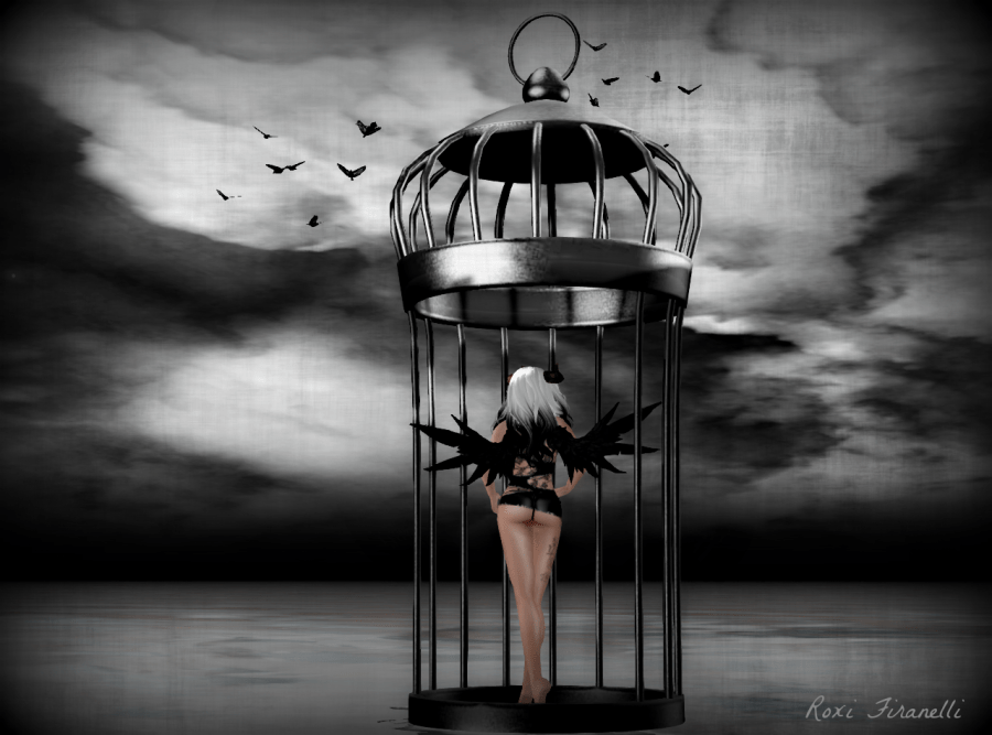 Caged Bird Back