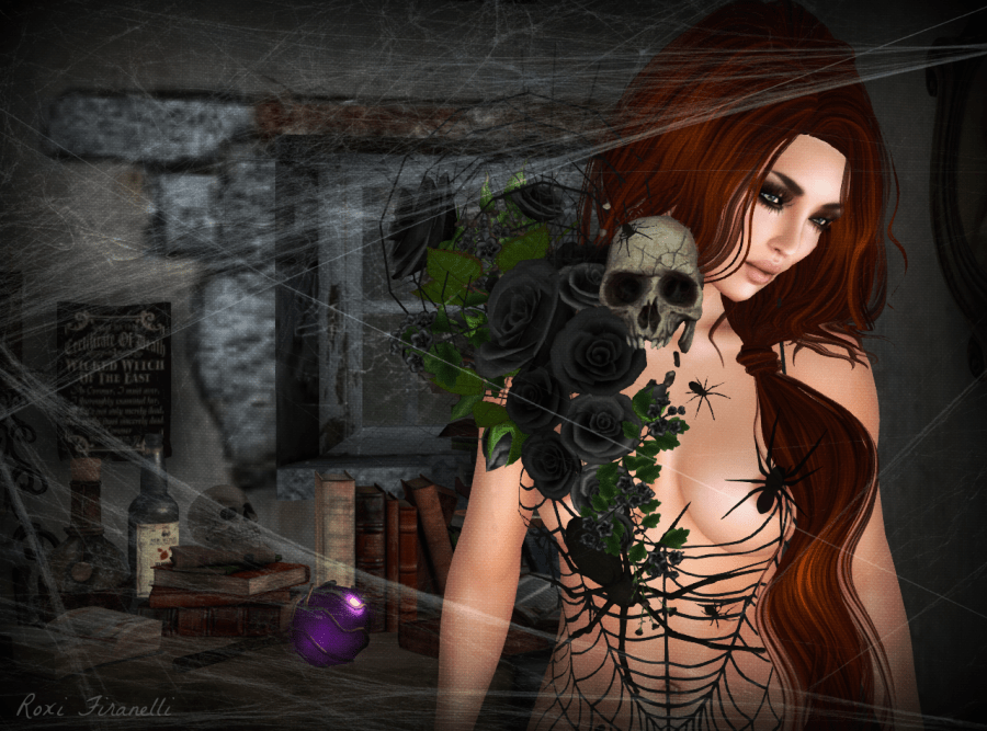 The Black Widow closeup