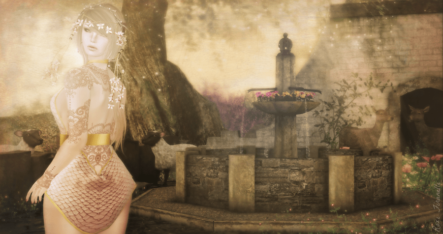 Morning in the garden