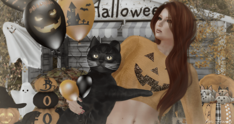 Halloween kittys