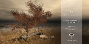 LBOrangeMapleV2Autumn