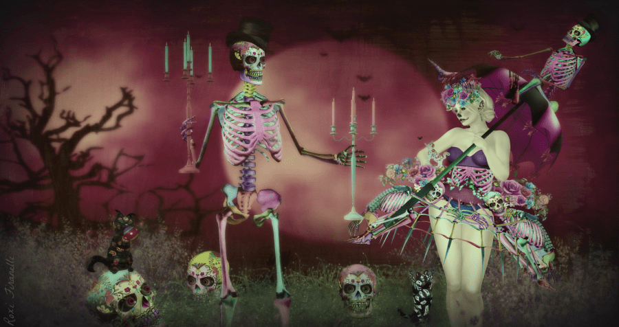 Moonlight Rendezvous with the kittahz