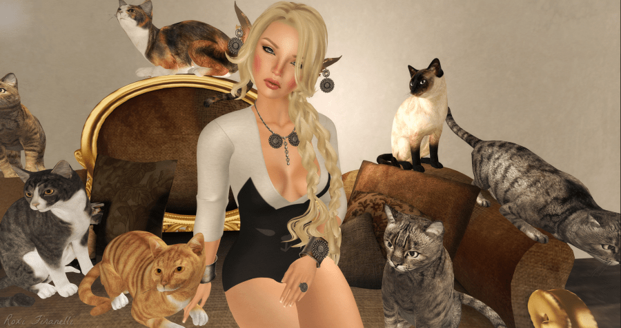Crazy Cat Lady front