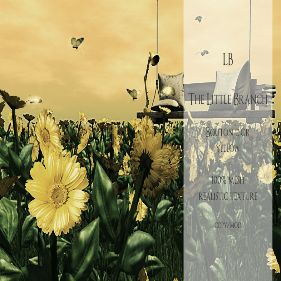 LB-MP-Bouton D'or Yellow {Field}