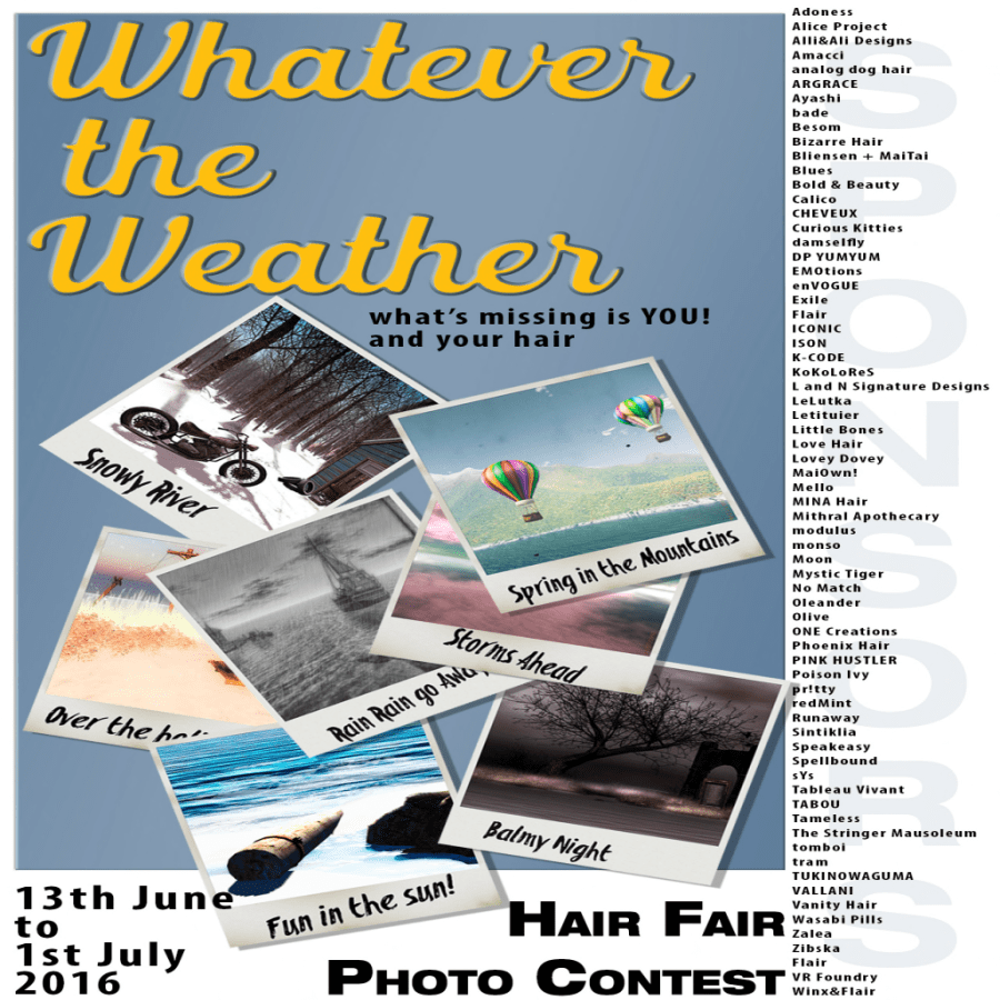 Hair Fair Photo Contest Poster