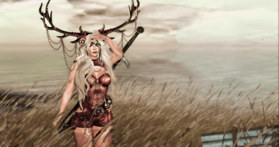 The journey is half the adventure