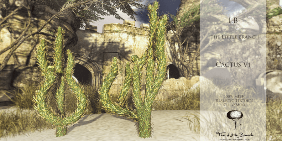 LB Cactus V1