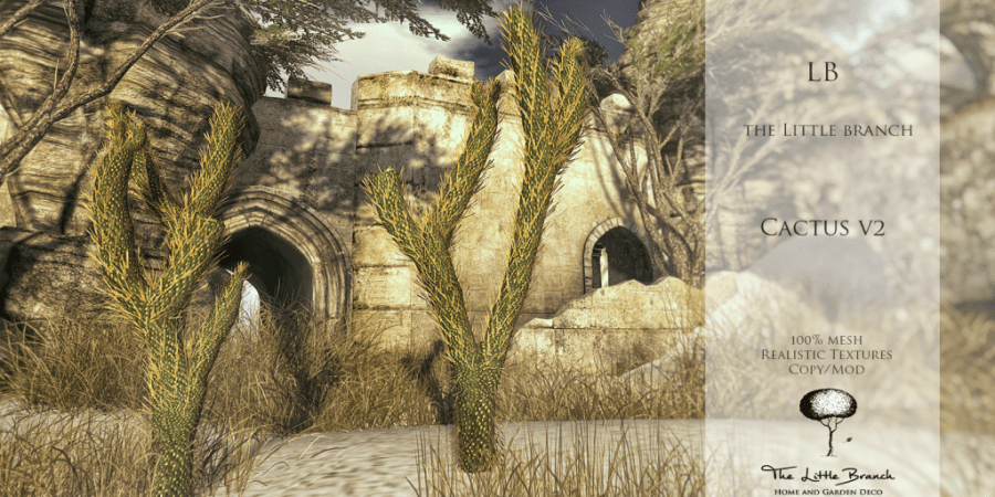 LB Cactus V2