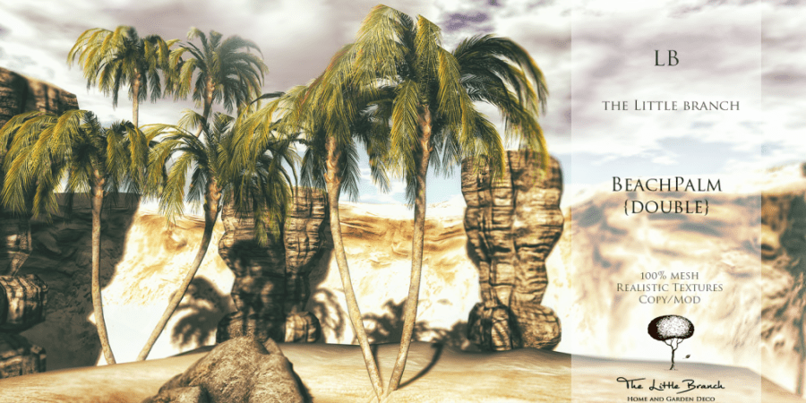 LB_BeachPalm{Double} 1