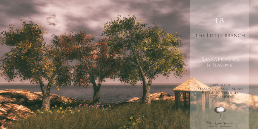 Little Branch Sassafras v3 (4seasons)