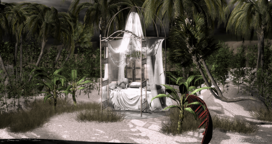 Midnight at the Oasis