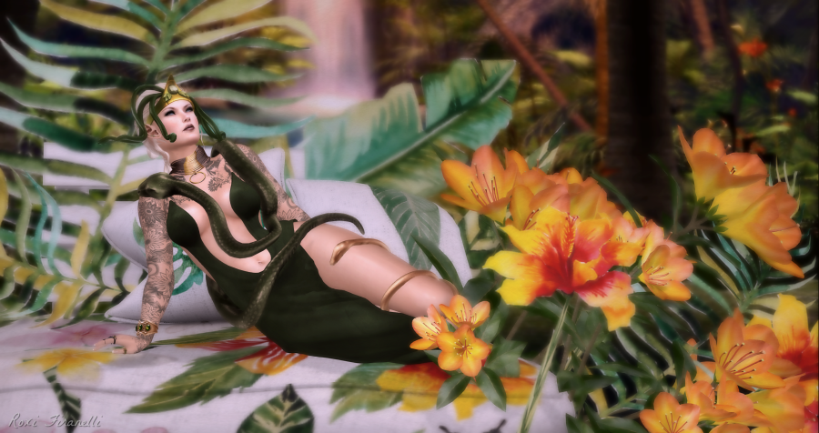 The Garden of Medusa