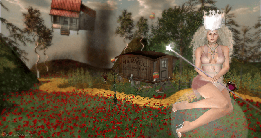 Have Bubble will travel