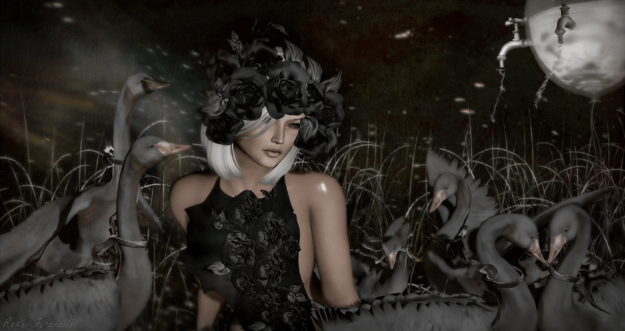 isabella-and-her-swans