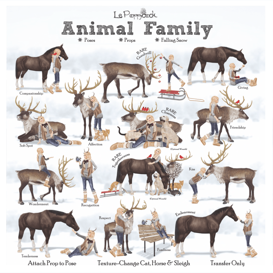 le-poppycock-_animal-family_-key