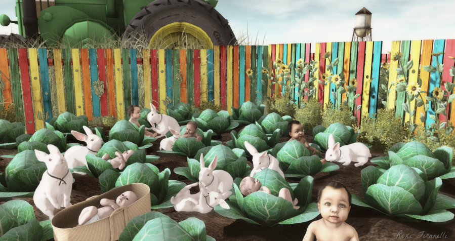 the-cabbage-patch