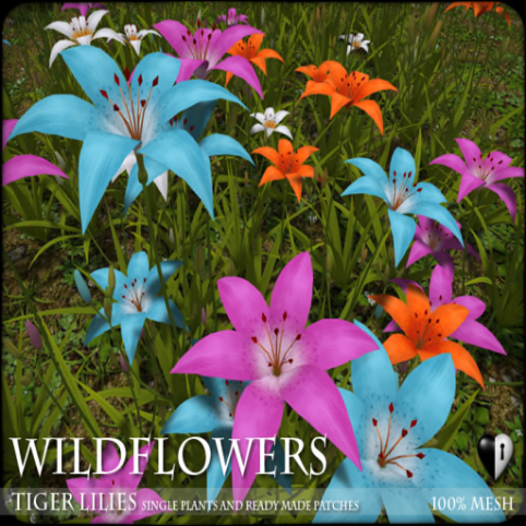 Heart - WILDFLOWERS- Tiger Lilies -A1