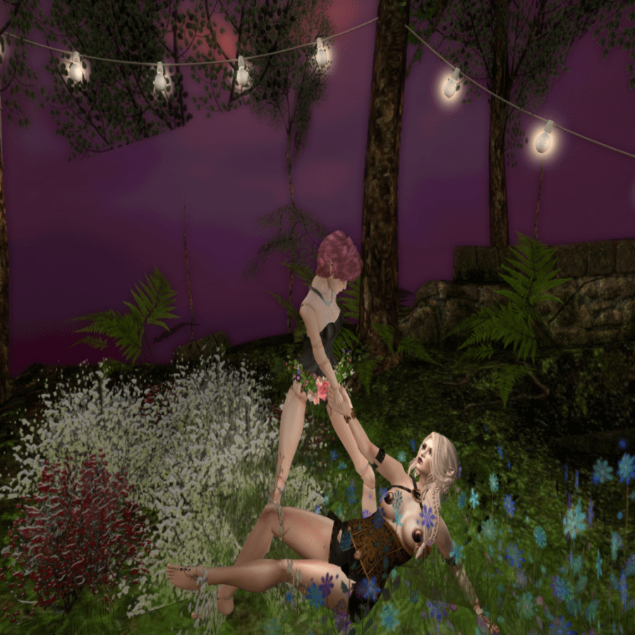 Roxi and Duchess dancing in the Secret affair meadow