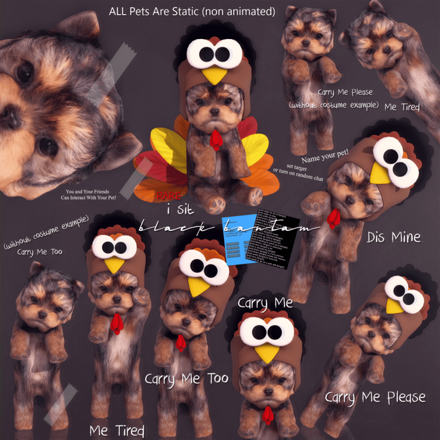 [Black Bantam] Turkey Yorkie Gacha Key